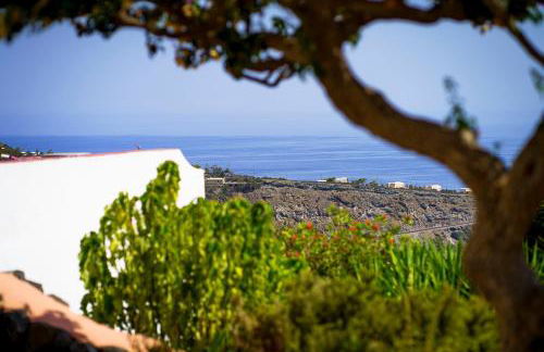 Venus Dream - Foto 36