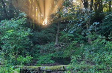 Ferienhaus Rehblick - direkt in der Natur, mit Lesezimmer und zwei Terrassen - Foto 47