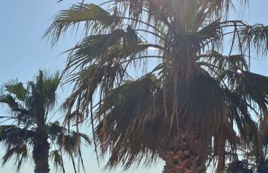 Apartment sal y sol - Foto 3