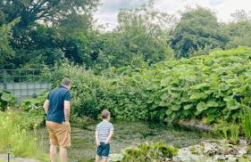 The Old Coach House at Stewton - Foto 10