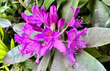 Motts Lodge - Photo 36