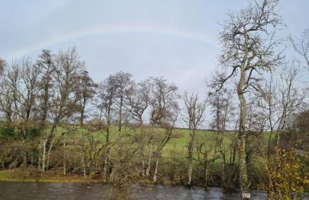 Turtle Lodges 29 - Riverside - Foto 7