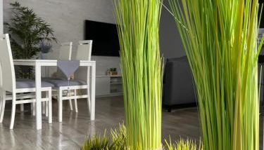 apartamentos Bandera - Foto 3