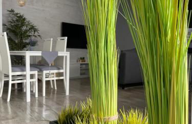 apartamentos Bandera - Foto 3