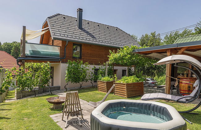 Vineyard cottage Matej - Foto 30