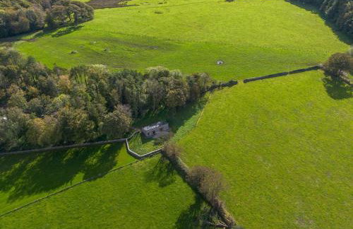 Murmur y Coed - Foto 29