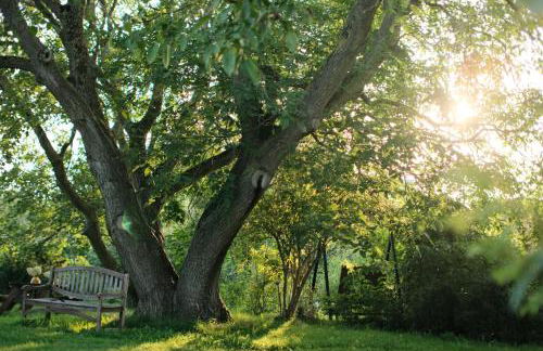 Sonnenhügel - Foto 24