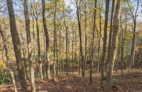 Large Luxury House, King Beds and More, Hot Tub, Theater, Fireplace, Game Room, Ping-pong, Pool Table, Air Hockey, Arcade, River, Big Kitchen, Nice Porch, Quiet, Good for Families and Large Groups, Near UGA Golf Course, Close to UGA & Stanford Stadium - Photo 57