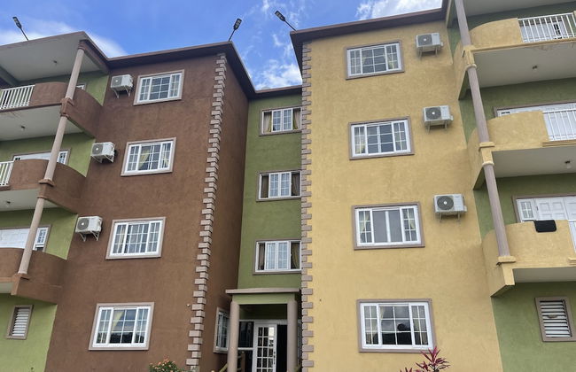 Pirate Palms - Foto 31