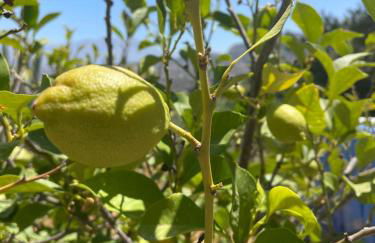 Casa Rocas Private Pool with swimjet! - Foto 59