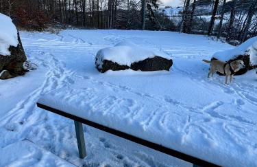 Ferienhaus Waldblick - Photo 22