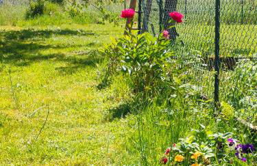 home edwige - Foto 30