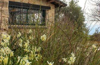 At Aunt Daniela house Oasis on Silence - Photo 49