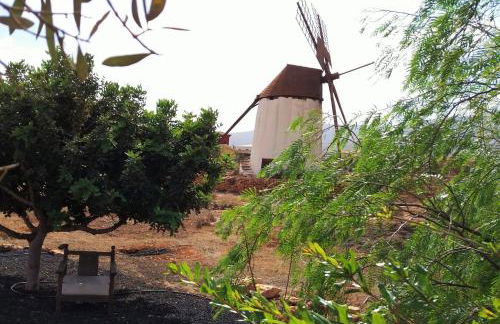 Encantadora casita con molino y piscina - Foto 20