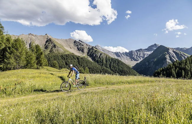 Steinbock Apartments - Foto 18