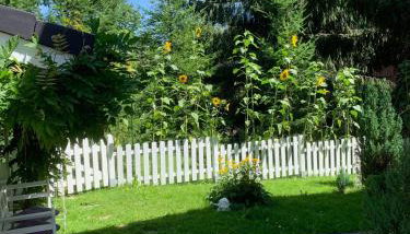 Allgäuvilla - Photo 5, Garden