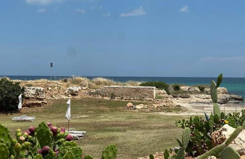 Masseria Ostuni Mare Agri Resort - Foto 69