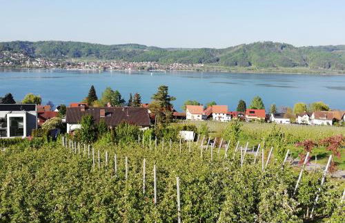 FeWo Segelwind - Foto 26