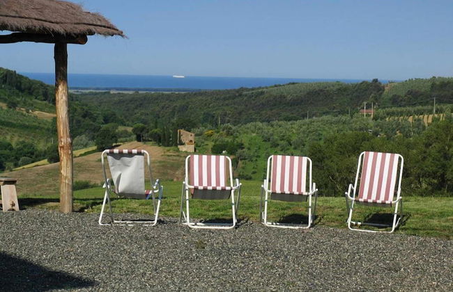 Fattoria Podere i Luoghi - Foto 72