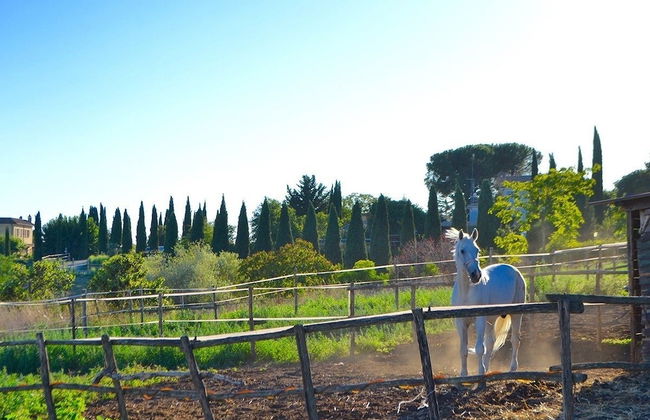 Ars Naturae Biologic Farm - Foto 57