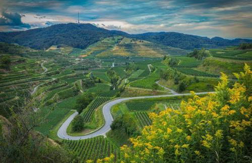 Holiday Apartment Monet in Oberrotweil - Foto 76