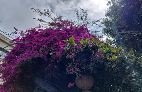 Kora Eco Residence - Foto 35