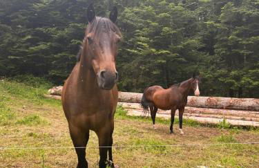 Entre Montagnes et lacs Gites - Foto 13