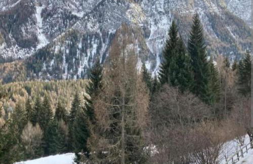 Residence “I Larici” Folgarida - Photo 18