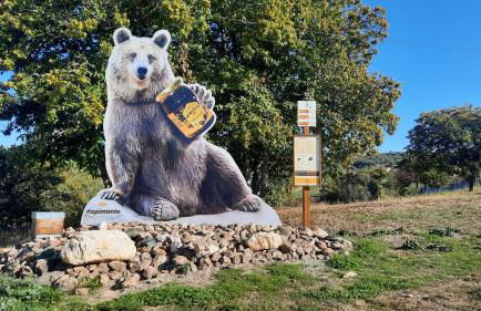 Apimonte O Cantinho da Maria - PN Montesinho - Foto 55