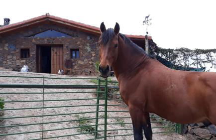 Finca rural House Tenerife Relax And Enjoy - Foto 58