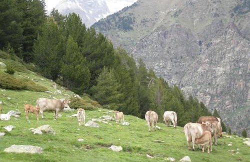 Apartamentos Ca de Marti - Foto 71