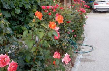 Apartman Olive 2 - Foto 10