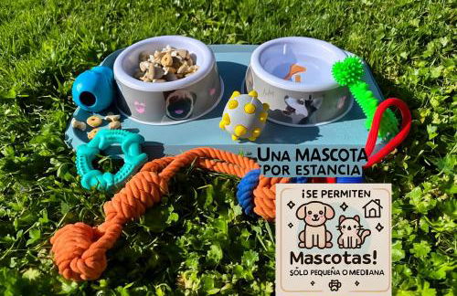 "LAS CAMELIAS SOMO" un lugar para desconectar!! Vistas al MAR!! - Foto 45