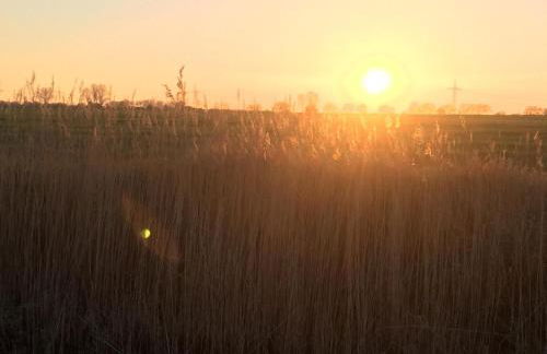 Tohuus Op'n Dörp - Foto 25