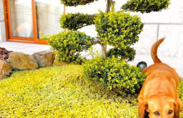 Casa da Touça - Foto 34