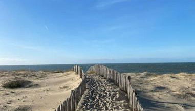 Maison posée sur la plage - Foto 5