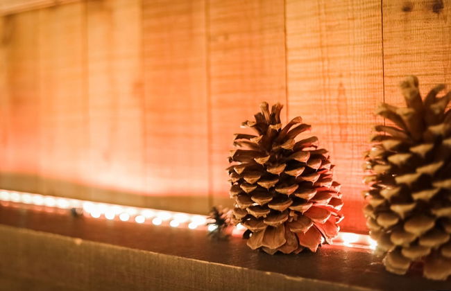 Whiskey Rock - Foto 46