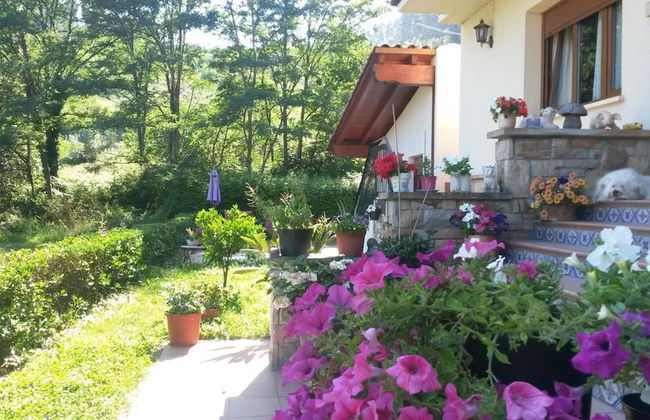 Agroturismo Ibarrondo Etxea - Foto 34