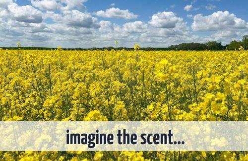 Apartment mit Seeblick - 950 m zum Hundestrand - Wiesengeflüster - Foto 39