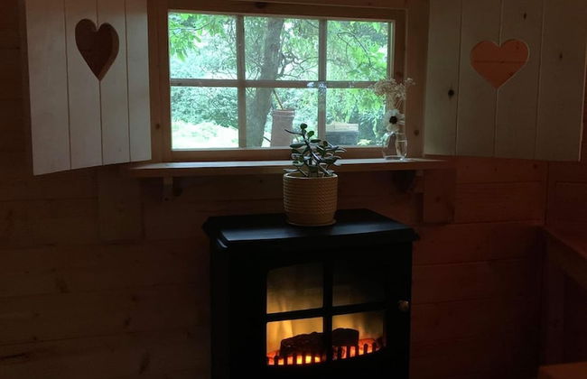 Starry Meadow - Foto 56