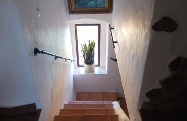 Casa rural los Cerezos - Foto 24