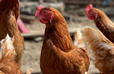 Agriturismo Terra e Cielo - Photo 36