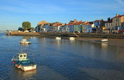 Le Nid du Héron, maison avec piscine chauffée privative au cœur de Nantes - Foto 30