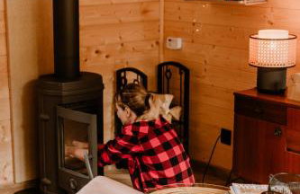 LasHouse - Nowoczesna stodoła z widokiem na las - Foto 13