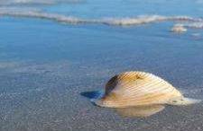 Golf and Beach Getaway - Foto 6