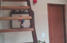 Loft Recanto dos Coelho Ferradura - Foto 26