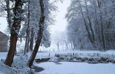 Herrenhaus Burg Vlatten - Foto 33