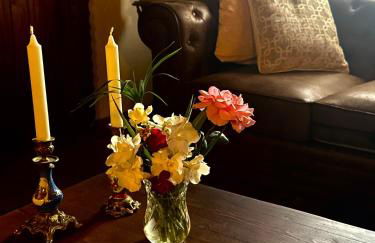 Mas del Drac - Foto 15