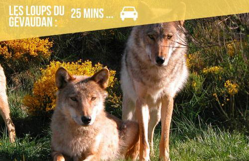 Les Hourtous Netflix Wi-Fi Fibre Terasse 4 pers - Foto 34