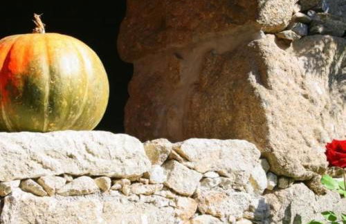 Holiday Home Ländliche Finca Casa da Rocha by Interhome - Foto 37